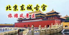 男人女人插逼影片中国北京-东城古宫旅游风景区